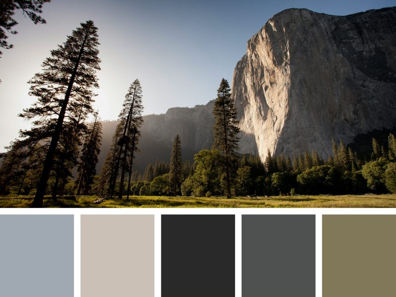Leveraging Earth Tones A Practical Color Strategy for Design Professionals
