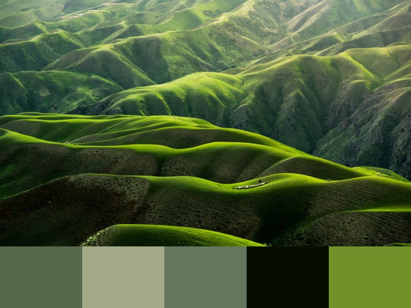 A Guide to Using Natural Colors in UI and Graphic Design