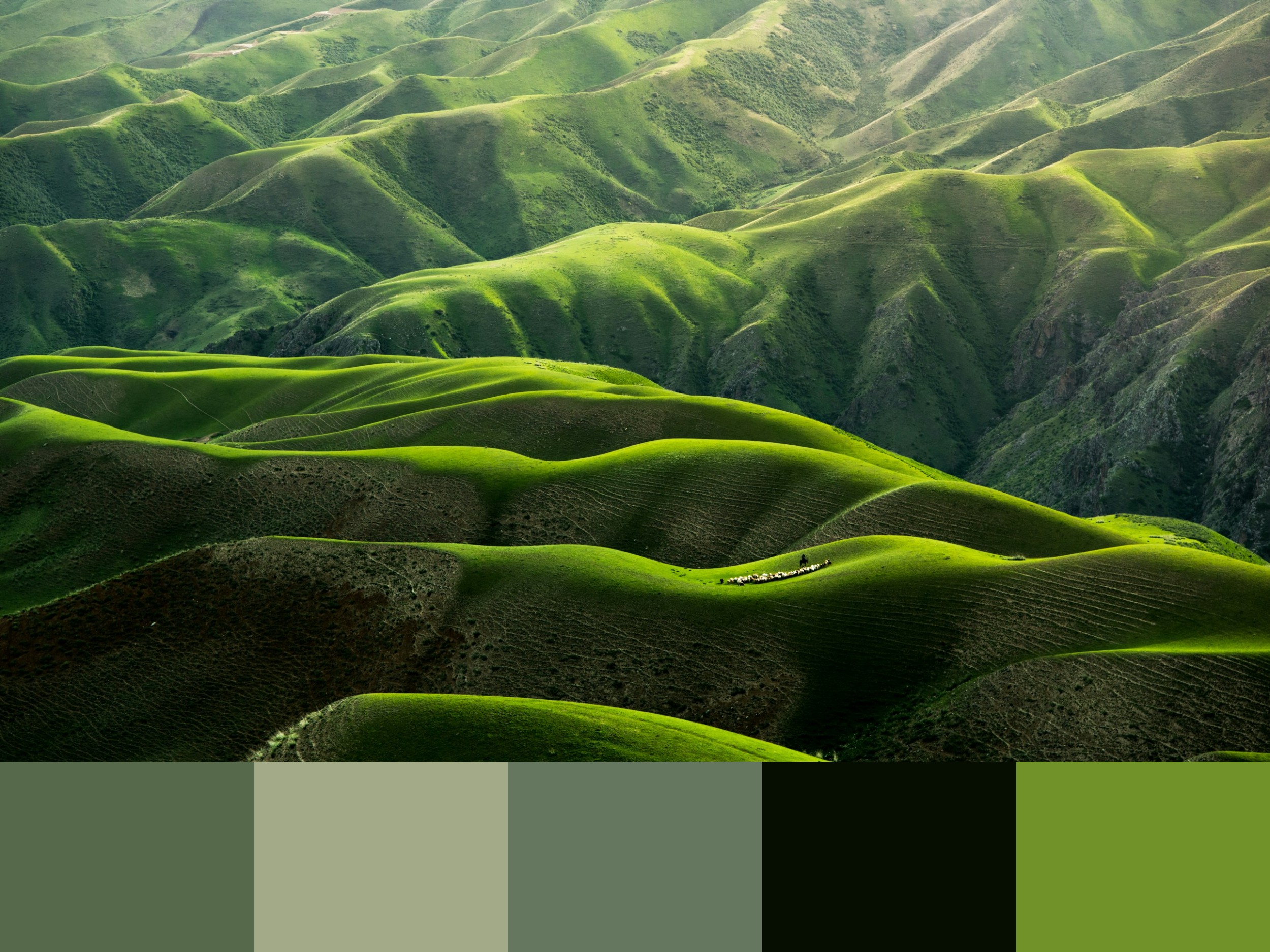 A Guide to Using Natural Colors in UI and Graphic Design