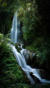 The image captures precisely this tranquil and invigorating natural setting
