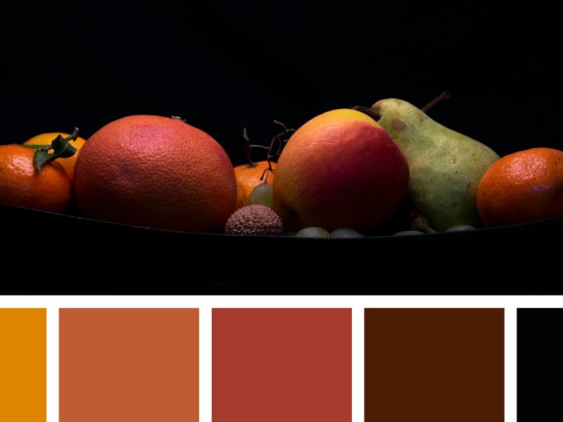 A collection of diverse fruits—oranges, a grapefruit, an apple, and a pear